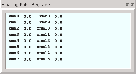 floating point registers window
